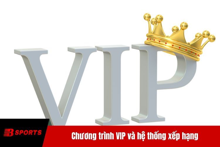 Chương trình VIP và hệ thống xếp hạng