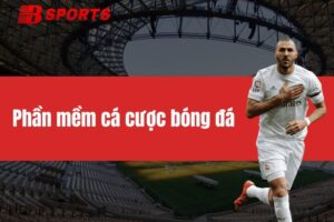 Phần mềm cá cược bóng đá BTY6138 - Chất lượng, đẳng cấp số 1 Việt Nam